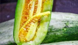 网红视频吃瓜最新,揭秘娱乐圈最新热点事件