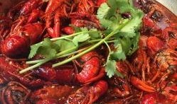 四川小龙虾爆料视频播放,视频播放量惊人，揭秘美食背后的故事